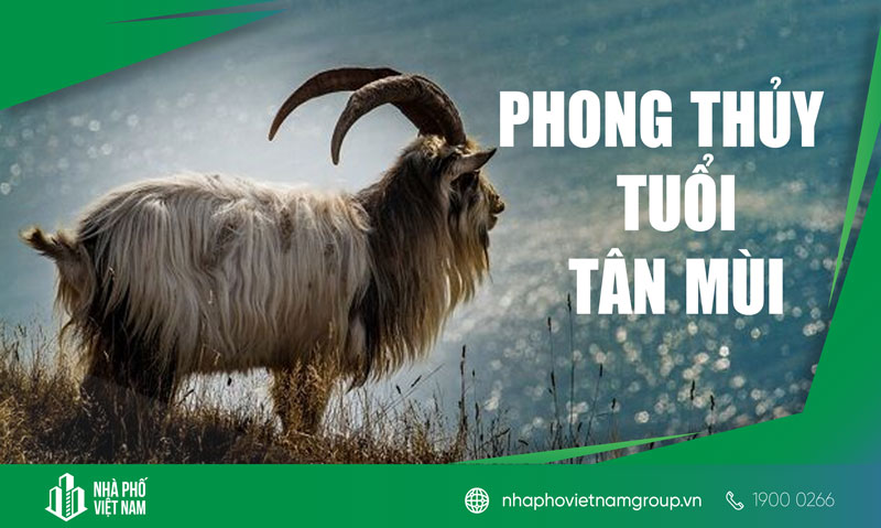 Tuổi Tân Mùi Hợp Hướng Nào? Cách Chọn Hướng Nhà, Hướng Bàn Làm Việc Tuổi Tân Mùi